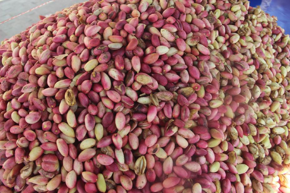 Şanlıurfa'da Yeni Mahsul Fıstık Tezgahlarda Yerini Aldı