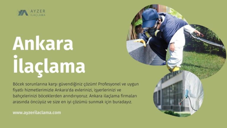 Ankara’da Haşere İlaçlama Firmaları: Sorunları Kökten Çözen Uzmanlar