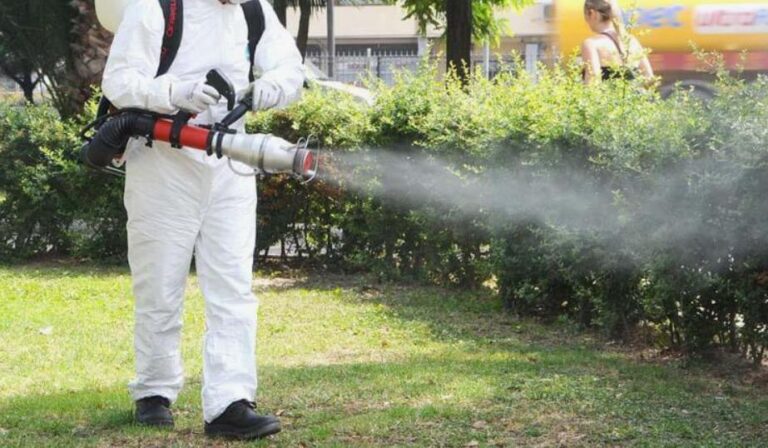 Ankara Böcek İlaçlama Hizmetleri ile Sağlıklı Yaşam Alanları